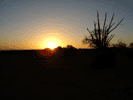 Sunset over the Desert