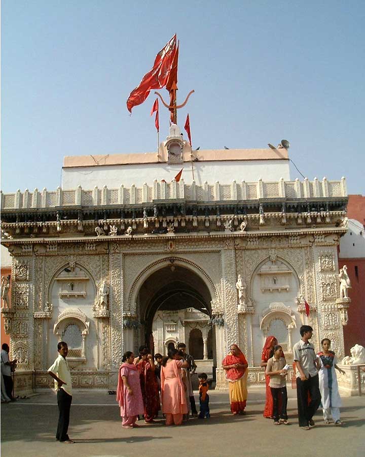 The Rat Temple